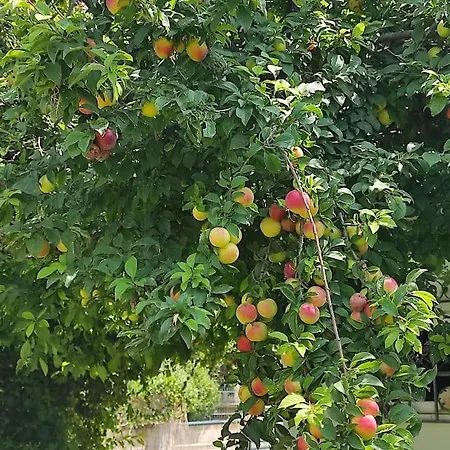 Summer House 150m From The For 5 Persons. بيت للعطل *