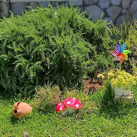 بيت للعطل Summer House 150m From The For 5 Persons. سوزوبولي